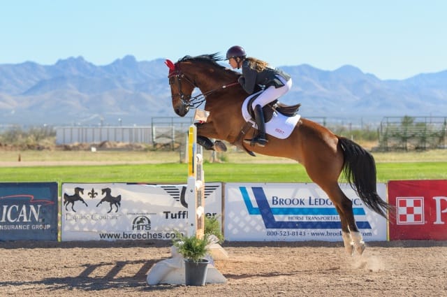 woman on horse jumping barrier